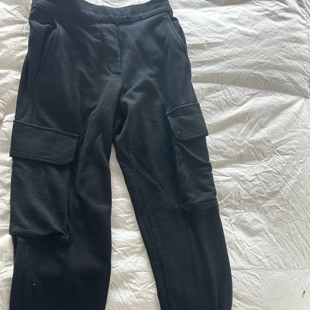 Aritzia 100% Wool Cargo Pants